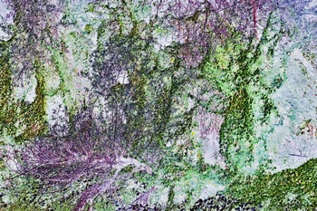 N 159S